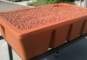 Photo of terracotta AquaUrban grow bed with lightweight expanded clay media