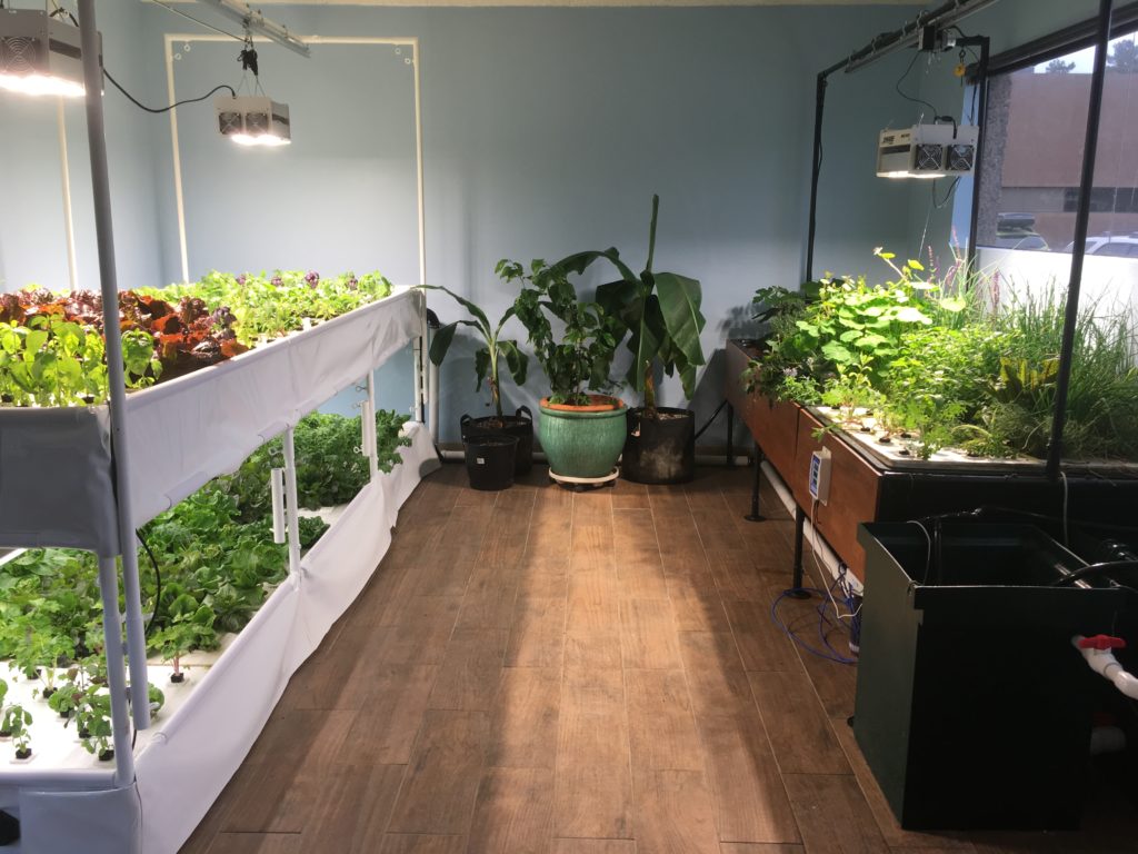 Aquaponic modular production systems Upward plans to open a 250,000-square-foot vertical farm in PA early next year