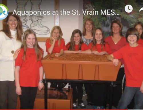 MESA Elementary Program
