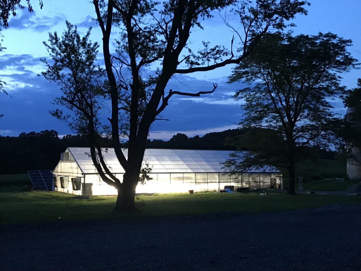 Bellavita Farm The Aquaponic Source