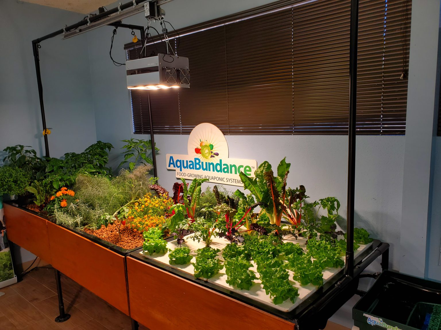 Aquabundance Grow Beds The Aquaponic Source