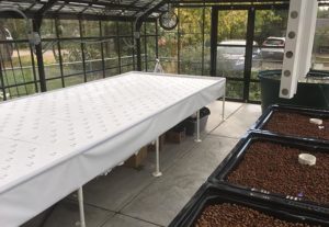 elevated aquaponic system