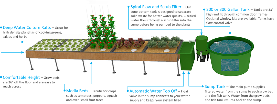 The 3-Minute Rule for Modular Aquaponics Design And Equipment