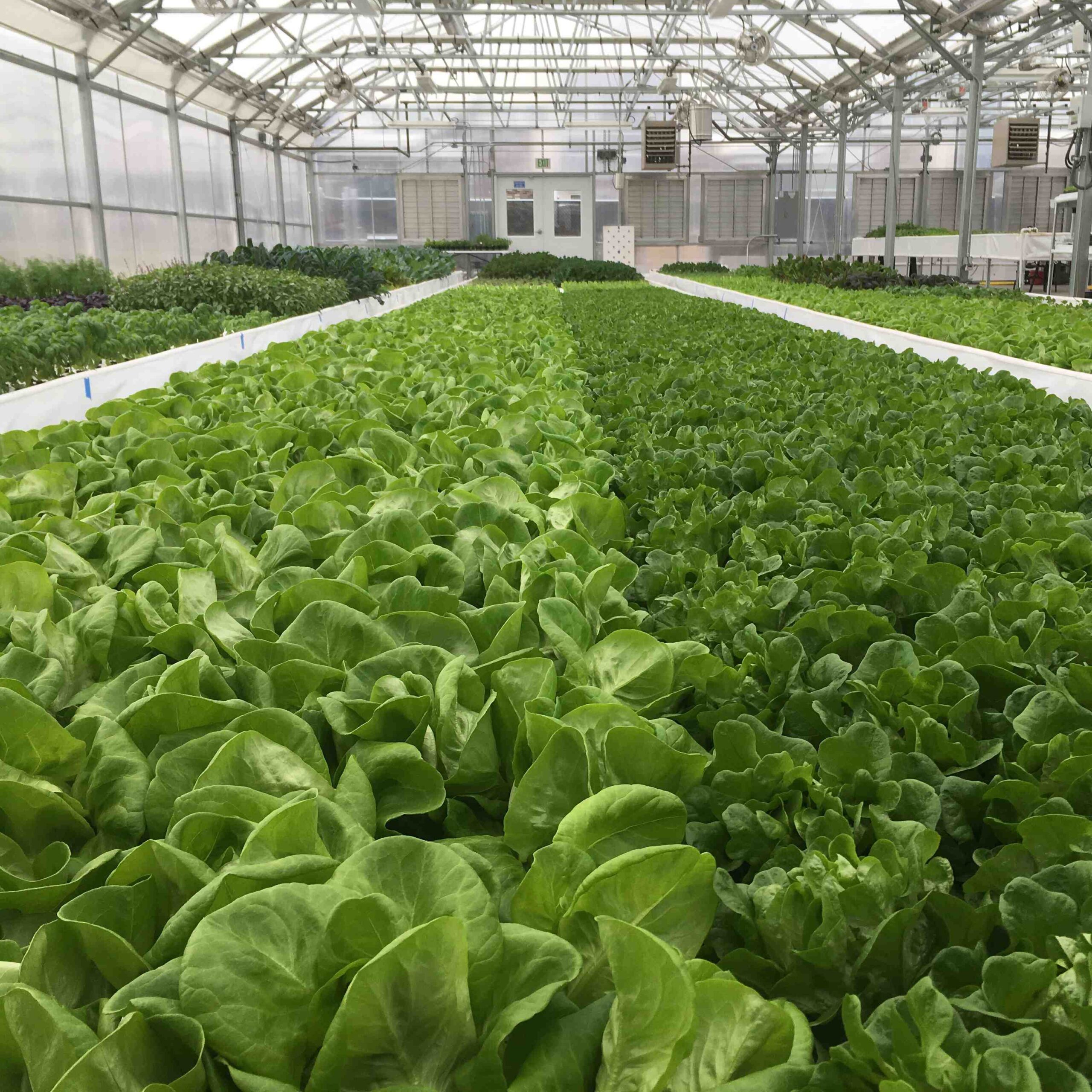 Farm and Greenhouse Operations Online Course