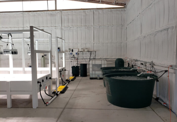 aquaponic zubehör - aquaponic