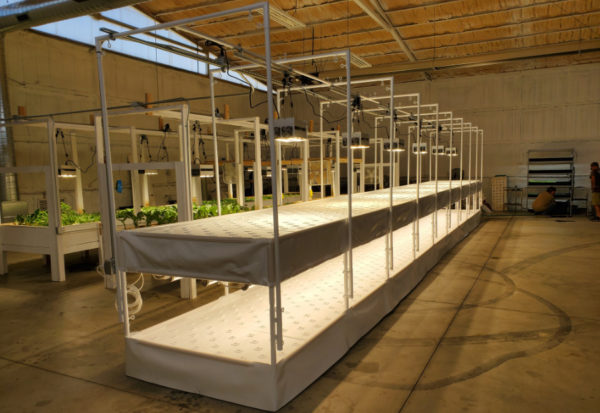 Grand Valley Greens - Indoor Aquaponic Farm | The Aquaponic Source