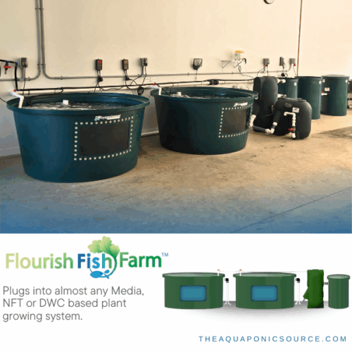 flourish fish farm 600
