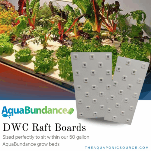 abs aquabundance raft boards
