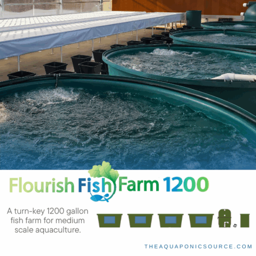 flourish fish farm 1200