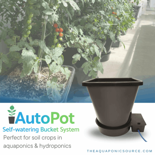 AutoPot Bucket System