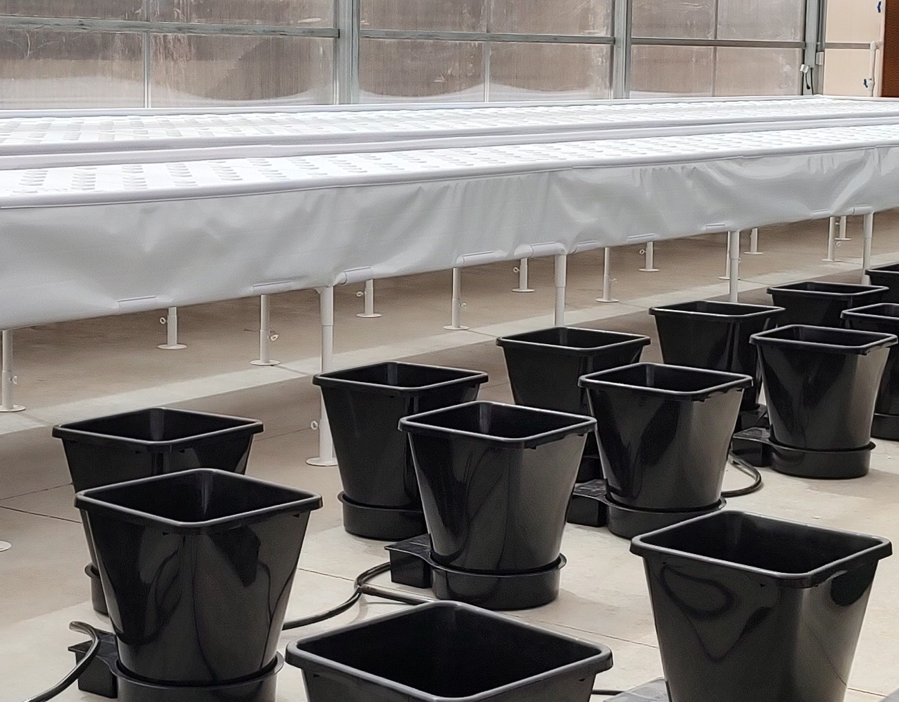 AutoPot 1Pot XL Module