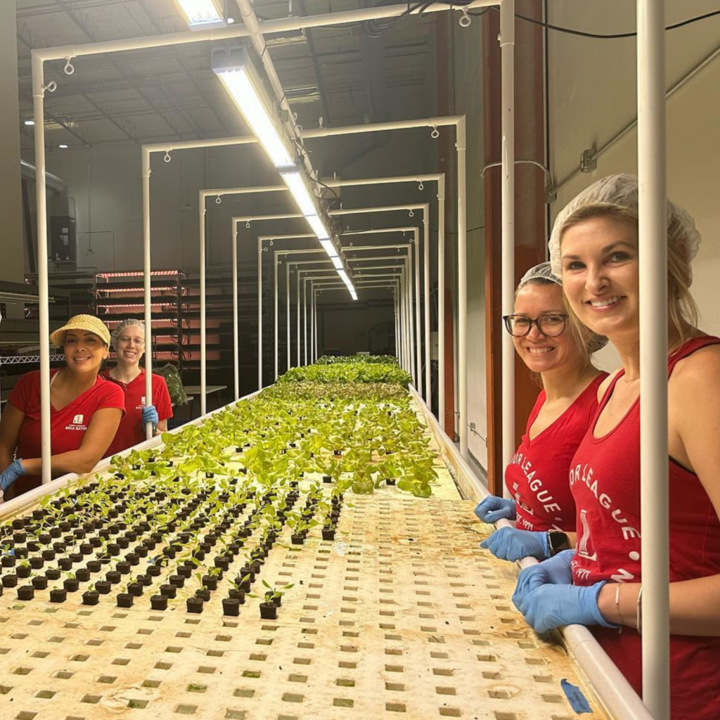 Bottom Tier of the Growasis Double Decker aquaponic lettuce