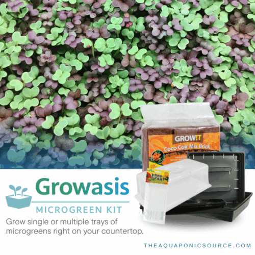 microgreen kit