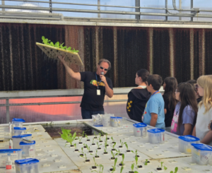 growasis teaching