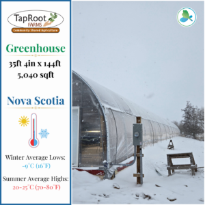 taproot farm greenhouse