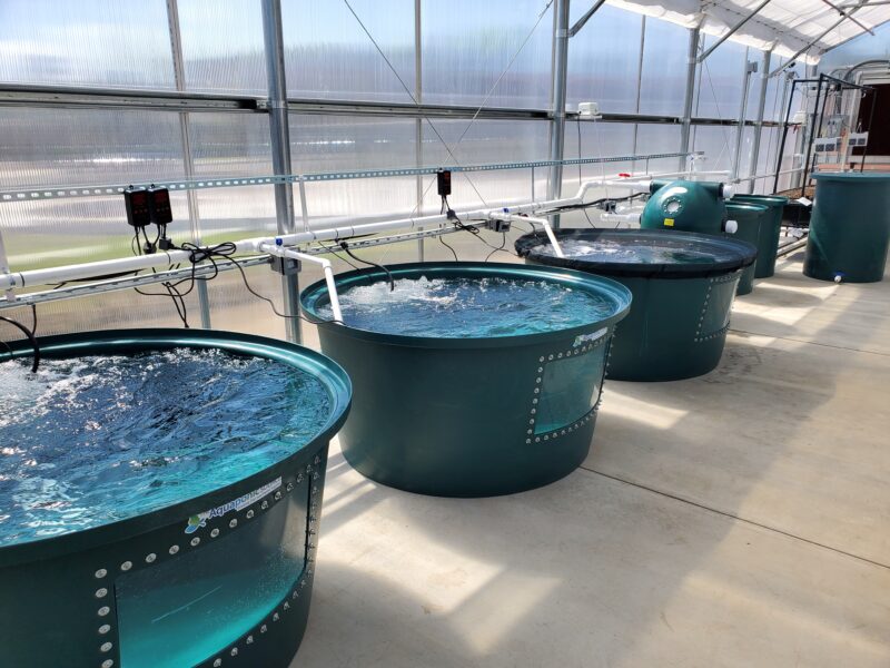 aquaculture