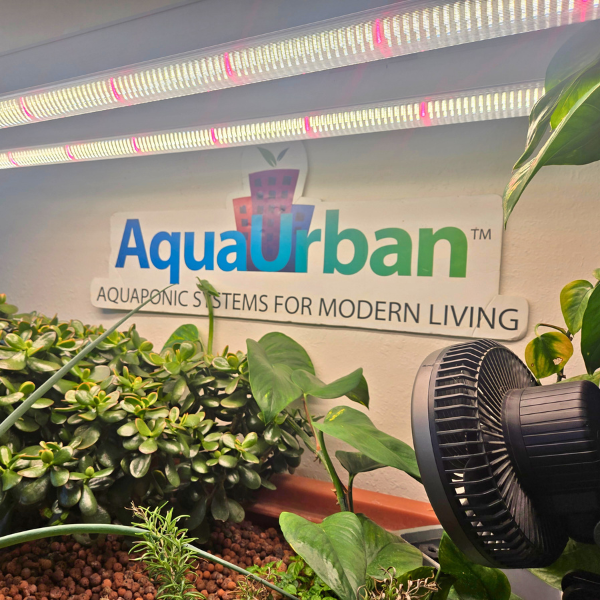 AquaUrban Lighting Package AquaUrban Lighting Package