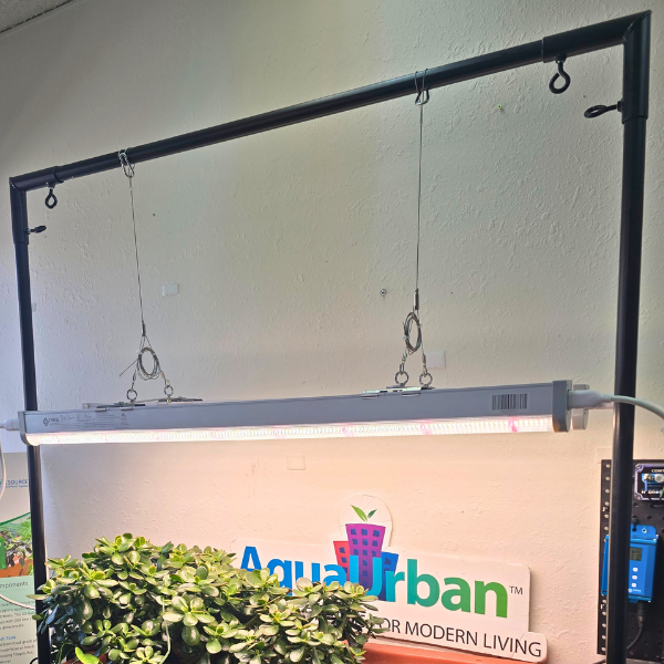 AquaUrban Lighting Package