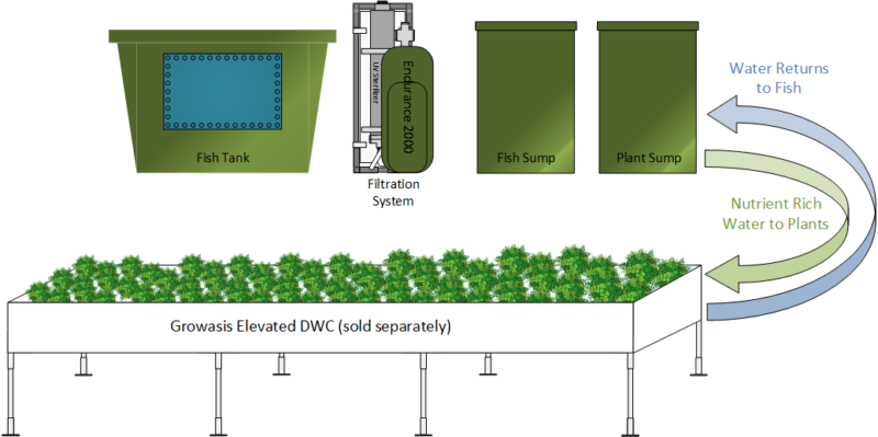 AquaBundance-Fish-Farm-Web-Diagram-800×399 AquaBundance-Fish-Farm-Web-Diagram-800x399