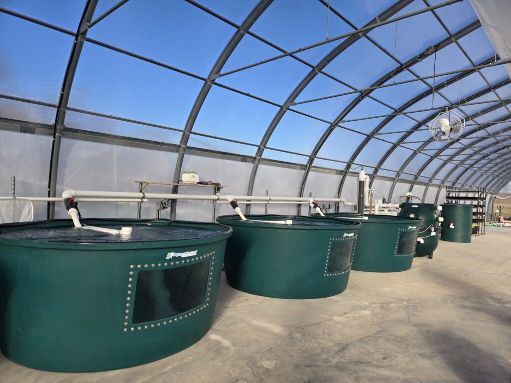 Landscape TapRoot Fish Tanks 800 gallon Landscape (1)