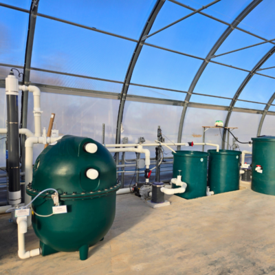 filtration filtration
