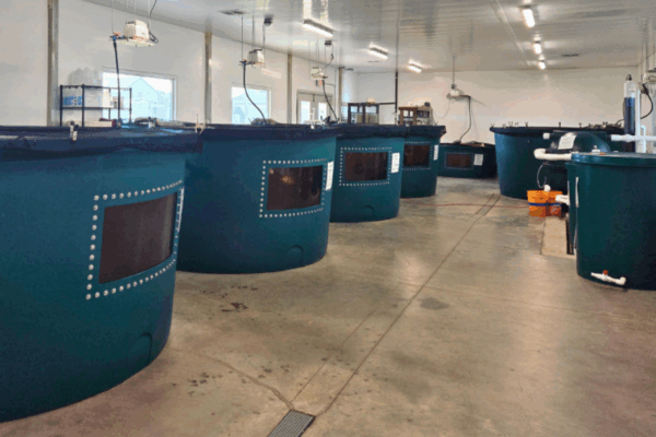 aquaculture