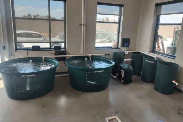 aquaculture