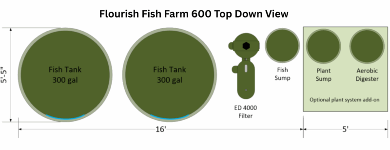 ff600 top down