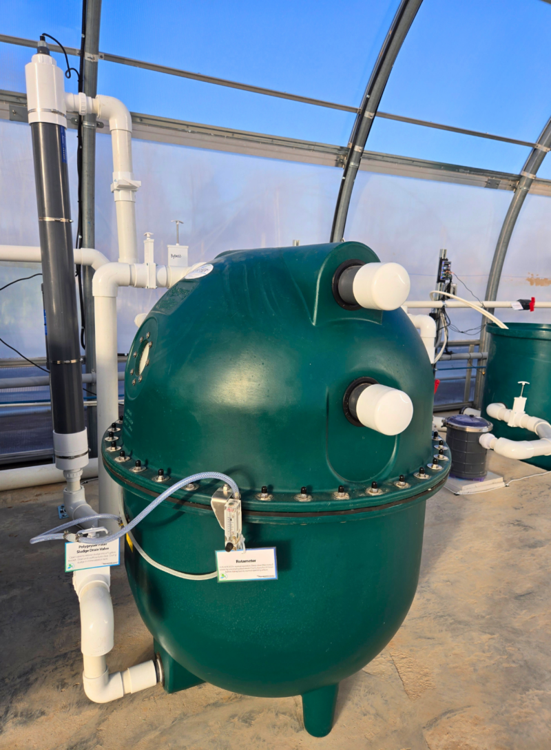 aquaculture polygeyser bead filter