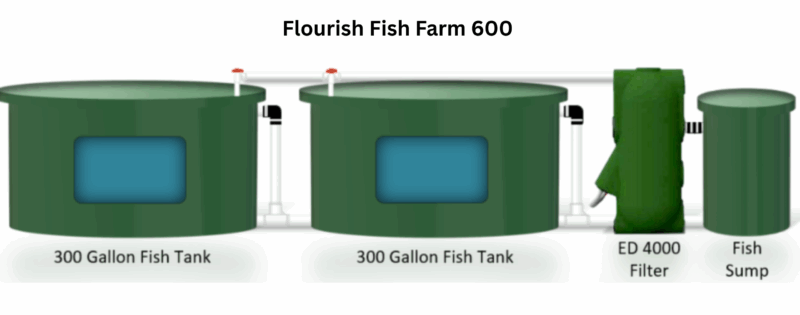 fff 600