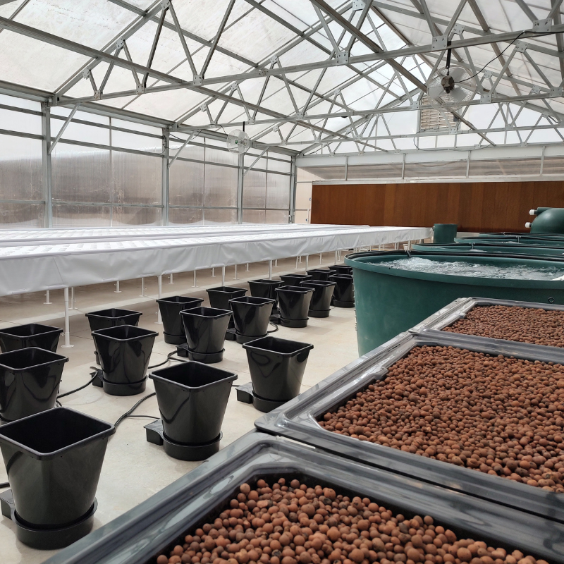 AutoPot Bucket System