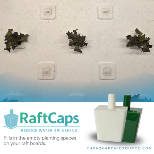 raft caps