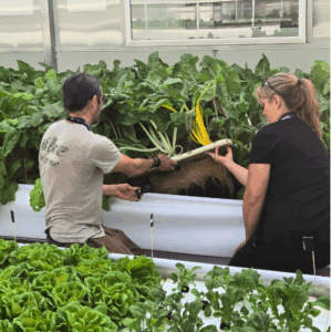 growasis ground