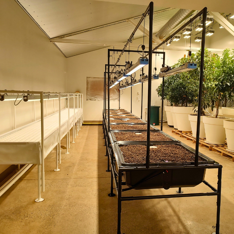 media beds