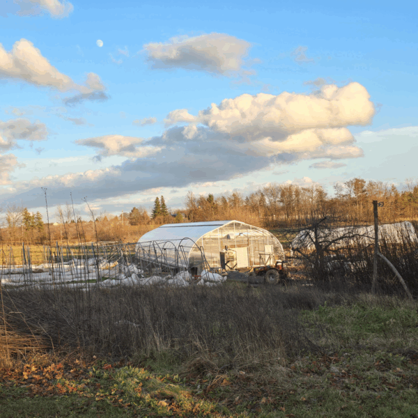 taproot farm taproot farm