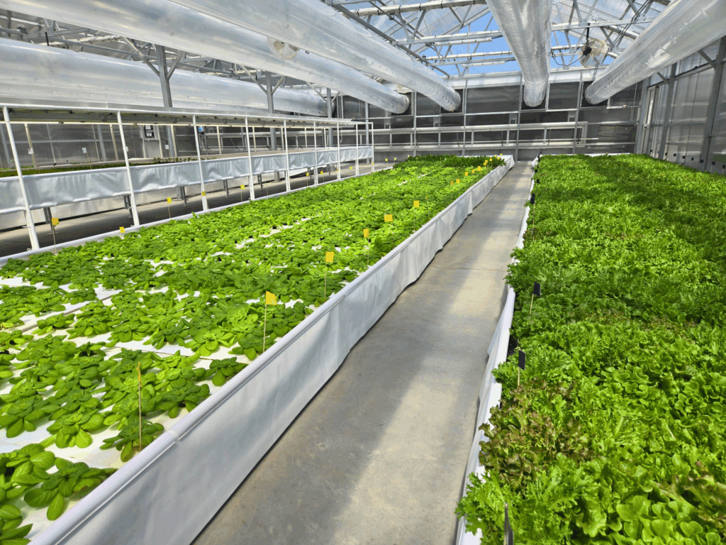 timberview farmstead