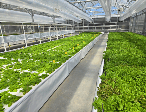 Timberview Farmstead Aquaponic Greenhouse