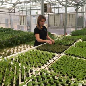 Tawnya transplanting in elevated DWC small