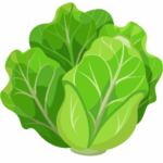 lettuce lettuce