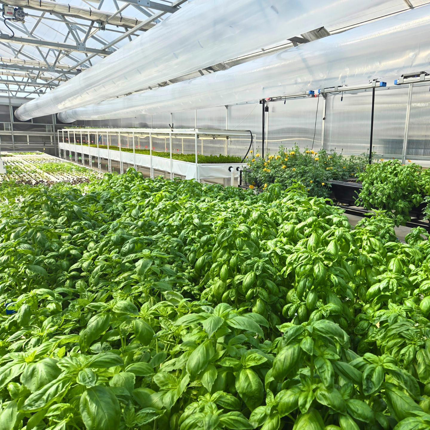 Clean water flowing over a surface