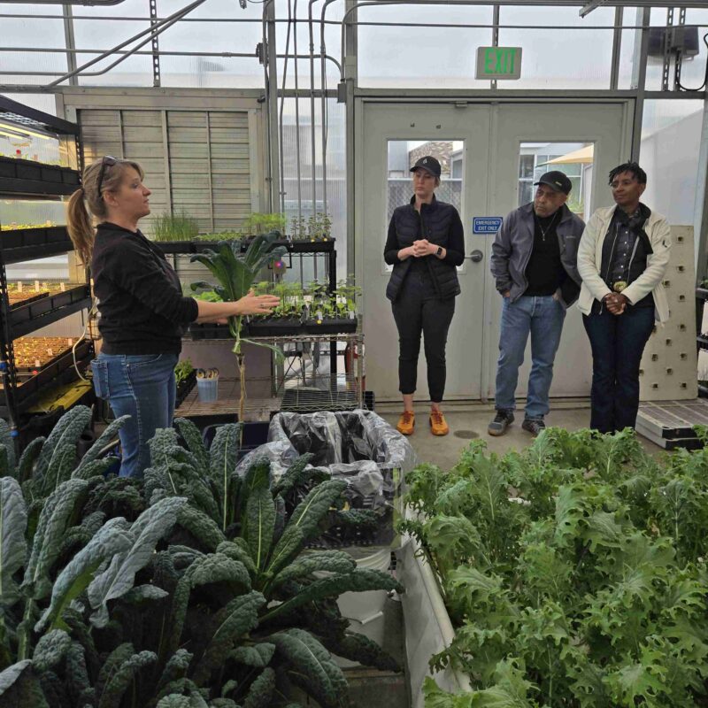 Tawnya in Greenhouse