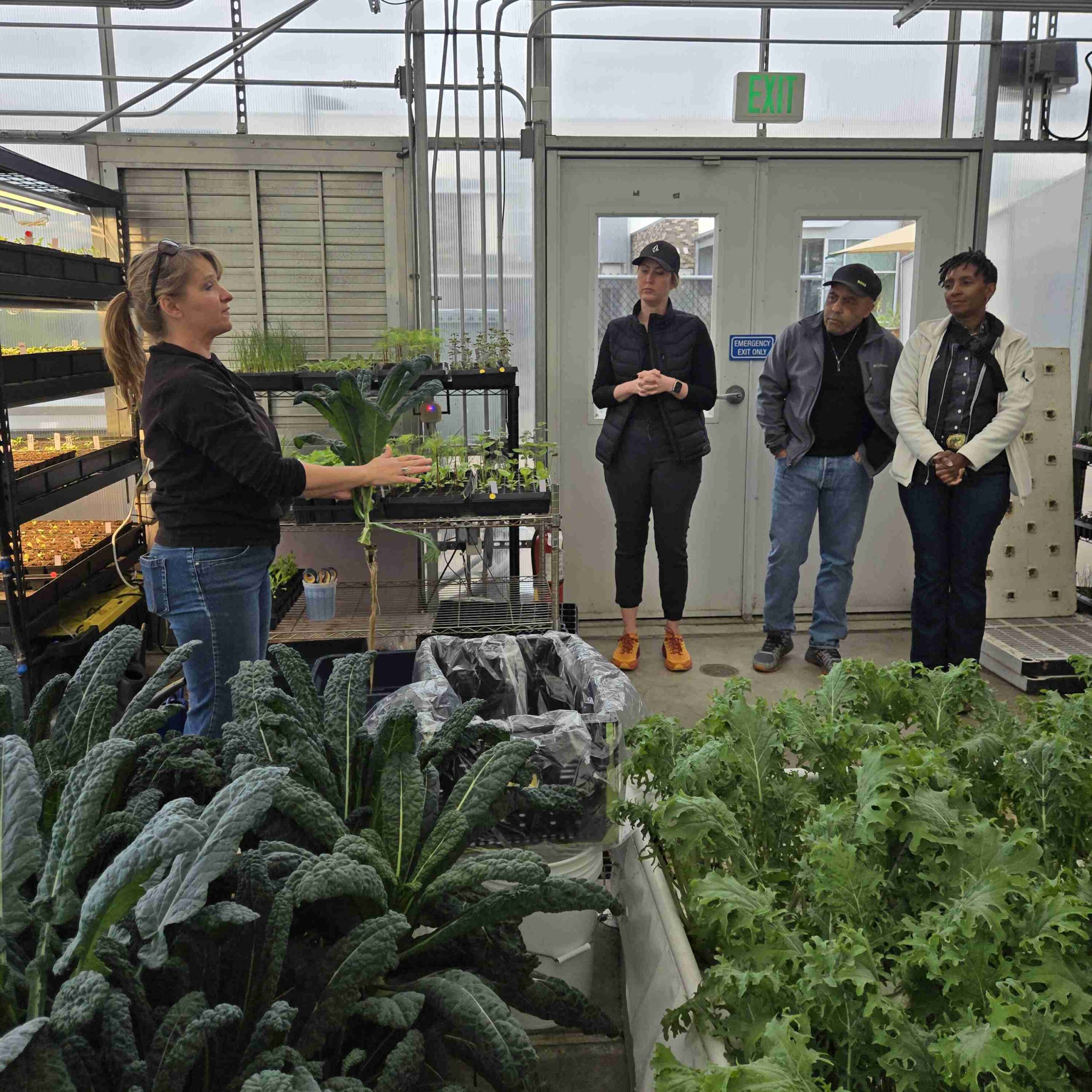 Clean water flowing over a surface