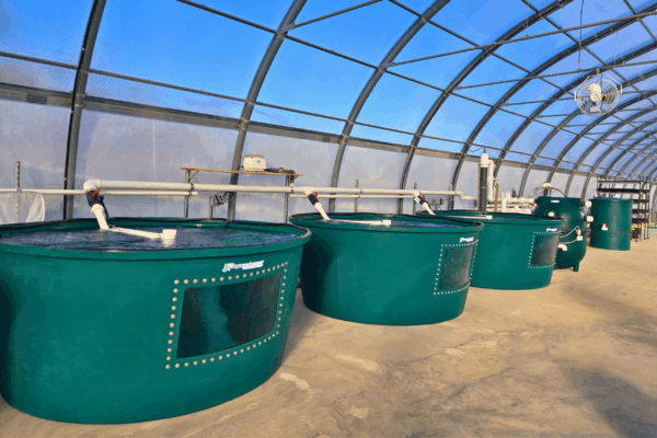 fish tanks for aquaculture fish tanks for aquaculture