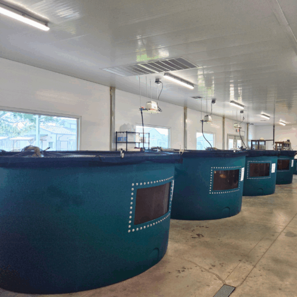 timberview fish tanks