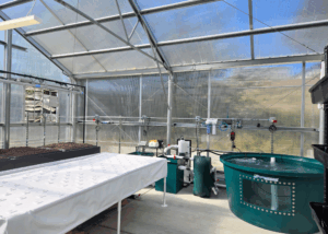 Diamond Tech Institute