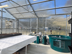 Diamond Tech Institute