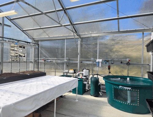 Diamond Technology Institute