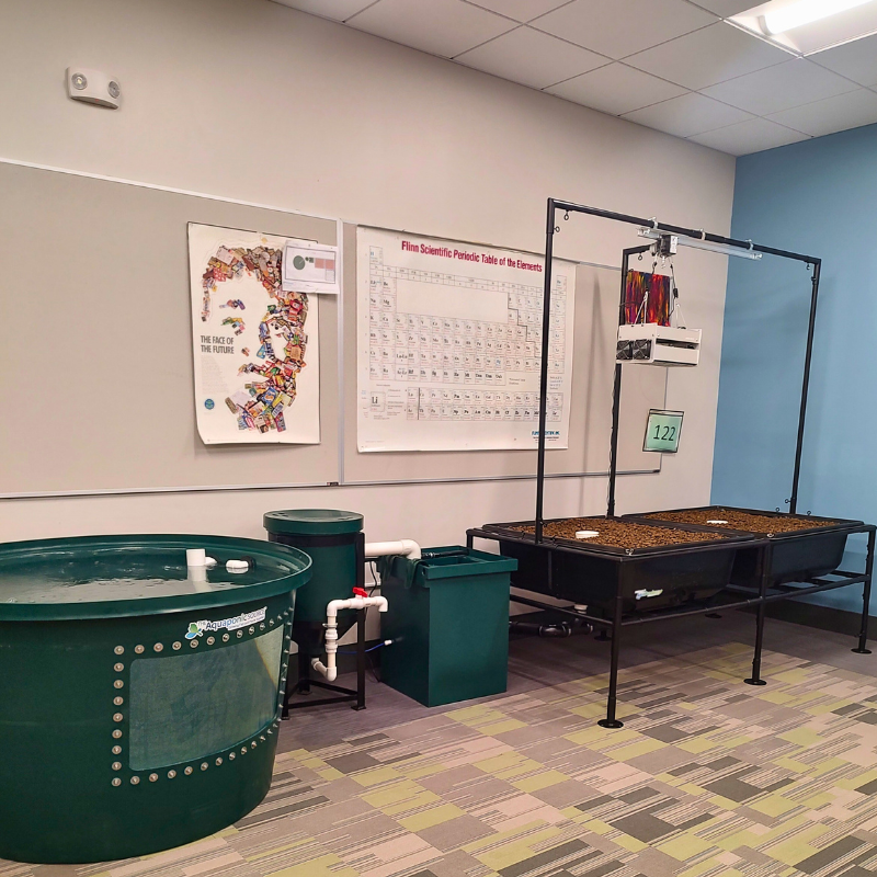 school aquaponics