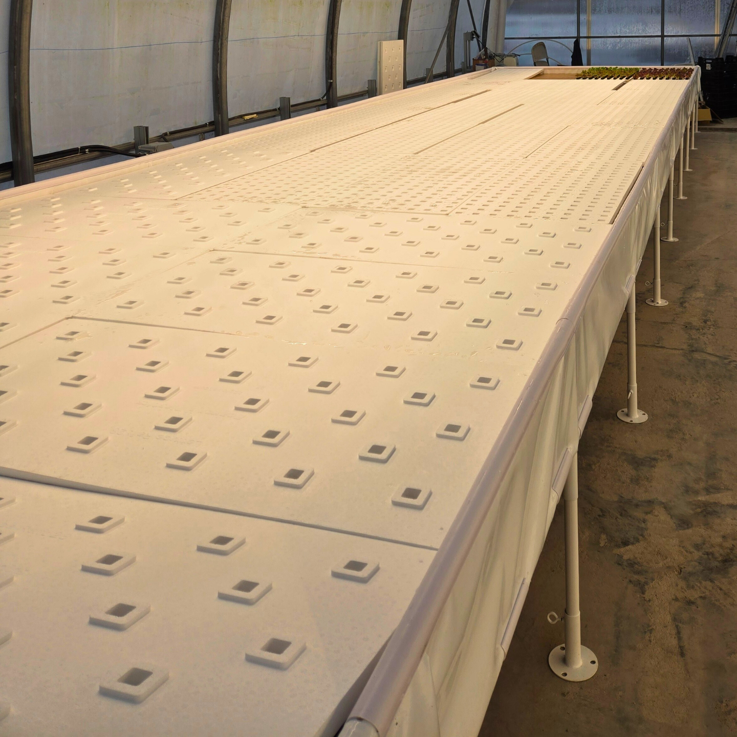 taproot growasis elevated