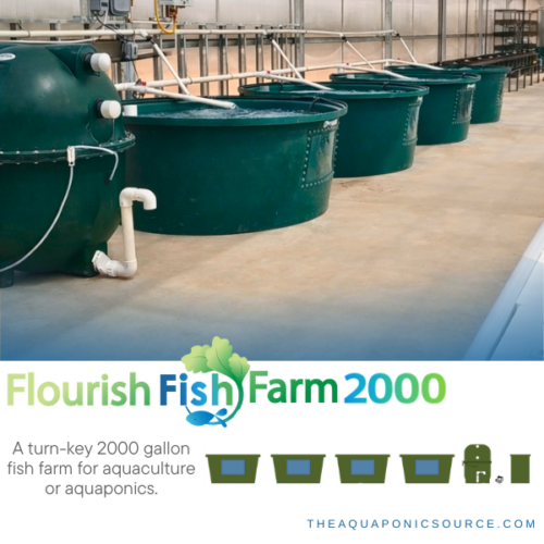flourish fish farm 2000